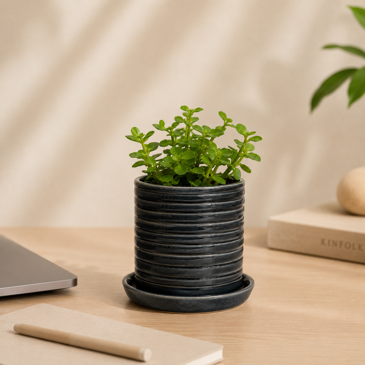 Obsidian Ridge Planter